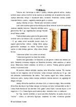 Referāts 'Japāna', 28.