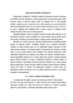 Referāts 'Lēmumpieņemšana riska un nenoteiktības apstākļos', 5.