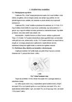 Biznesa plāns 'SIA "Orions" - suņu frizētava Jelgavā', 10.