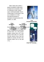 Biznesa plāns 'SIA "Orions" - suņu frizētava Jelgavā', 11.