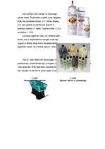 Biznesa plāns 'SIA "Orions" - suņu frizētava Jelgavā', 12.