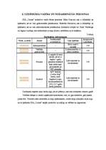 Biznesa plāns 'SIA "Orions" - suņu frizētava Jelgavā', 13.