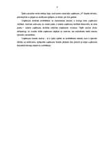 Diplomdarbs 'Uzņēmuma – kredītņēmēja finanšu stāvokļa novērtējums', 8.