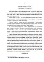 Diplomdarbs 'Uzņēmuma – kredītņēmēja finanšu stāvokļa novērtējums', 9.