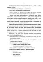 Diplomdarbs 'Uzņēmuma – kredītņēmēja finanšu stāvokļa novērtējums', 19.