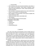 Diplomdarbs 'Uzņēmuma – kredītņēmēja finanšu stāvokļa novērtējums', 20.