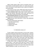 Diplomdarbs 'Uzņēmuma – kredītņēmēja finanšu stāvokļa novērtējums', 30.