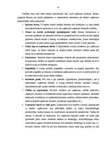 Diplomdarbs 'Uzņēmuma – kredītņēmēja finanšu stāvokļa novērtējums', 34.