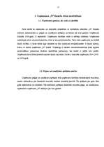 Diplomdarbs 'Uzņēmuma – kredītņēmēja finanšu stāvokļa novērtējums', 53.