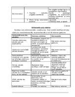 Prakses atskaite 'Prakse elektromontāžas firmā SIA "Elektriķis"', 28.