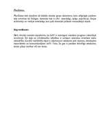 Konspekts 'Dažādība un sociālā vienlīdzība', 3.