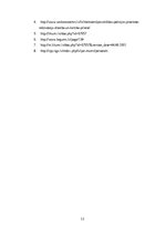 Referāts 'Pašvaldības policija', 11.