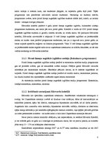 Referāts 'Ekonomikas mācību programmu salīdzinājums labākajās Latvijas un pasaules augstsk', 6.