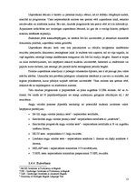 Referāts 'Ekonomikas mācību programmu salīdzinājums labākajās Latvijas un pasaules augstsk', 13.