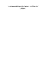 Referāts 'Atkritumu izgāztuves rekultivācijas projekts', 1.