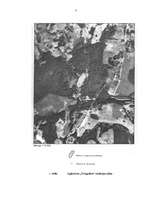 Referāts 'Atkritumu izgāztuves rekultivācijas projekts', 7.