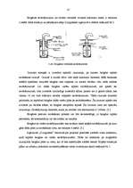 Referāts 'Atkritumu izgāztuves rekultivācijas projekts', 16.