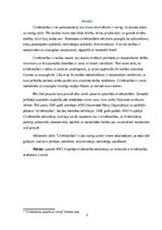 Referāts 'Cilvēktiesības', 3.