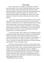 Referāts 'Cilvēktiesības', 6.