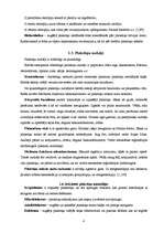 Referāts 'Acu slimības', 8.