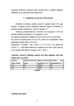 Biznesa plāns 'Biznesa plāns restorānam', 4.