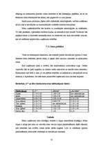 Biznesa plāns 'Biznesa plāns restorānam', 20.