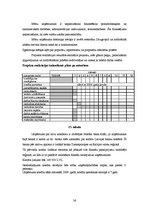 Biznesa plāns 'Biznesa plāns restorānam', 36.