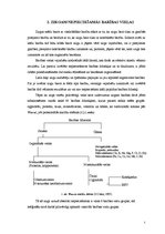 Referāts 'Grūsnu ķēvju ēdināšana', 5.