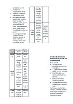 Konspekts 'Noziedzīga nodarījuma posmi, etapi, stadijas', 2.