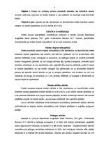 Referāts 'Zādzības jēdziens, sastāvs un kvalifikācija', 8.