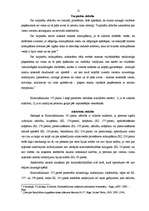 Referāts 'Zādzības jēdziens, sastāvs un kvalifikācija', 12.