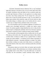 Referāts 'Rallija vēsture', 3.