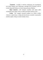 Referāts 'Rallija vēsture', 19.