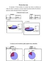 Referāts 'Rallija vēsture', 20.