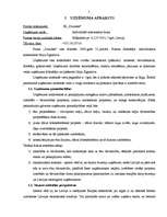 Biznesa plāns 'Biznesa plāns IK "Dizainss"', 5.