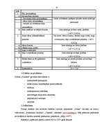 Biznesa plāns 'Biznesa plāns IK "Dizainss"', 10.