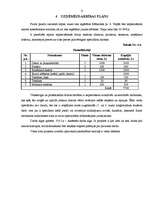 Biznesa plāns 'Biznesa plāns IK "Dizainss"', 11.