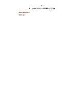 Biznesa plāns 'Biznesa plāns IK "Dizainss"', 20.