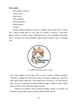 Diplomdarbs 'Uzņēmuma IK "Skaistuma serviss" servisa loģistikas pasākumu projekts klientu pie', 30.