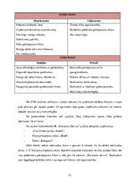 Diplomdarbs 'Uzņēmuma IK "Skaistuma serviss" servisa loģistikas pasākumu projekts klientu pie', 32.