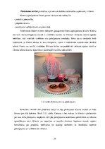 Diplomdarbs 'Uzņēmuma IK "Skaistuma serviss" servisa loģistikas pasākumu projekts klientu pie', 34.