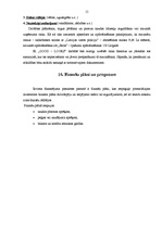 Biznesa plāns 'Biznesa plāns skaistumkopšanas salonam', 15.