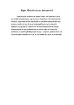 Referāts 'Rīgas Melnais balzams', 8.