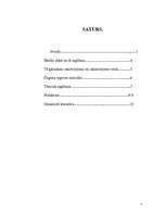 Referāts 'Dzelzs', 2.