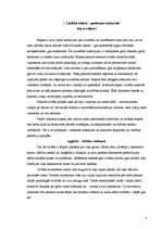 Referāts 'Faktori, kas ietekmē cilvēka ģērbšanās stilu', 3.