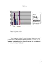 Referāts 'Faktori, kas ietekmē cilvēka ģērbšanās stilu', 23.