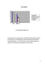 Referāts 'Faktori, kas ietekmē cilvēka ģērbšanās stilu', 24.