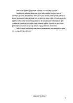 Referāts 'Faktori, kas ietekmē cilvēka ģērbšanās stilu', 31.