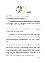 Diplomdarbs 'Uzskates līdzekļi bioloģijā - netradicionāla pieeja', 22.