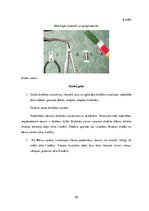 Diplomdarbs 'Uzskates līdzekļi bioloģijā - netradicionāla pieeja', 26.